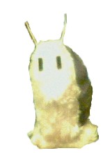 Snail