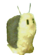 Snail again