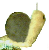 Snail a third time